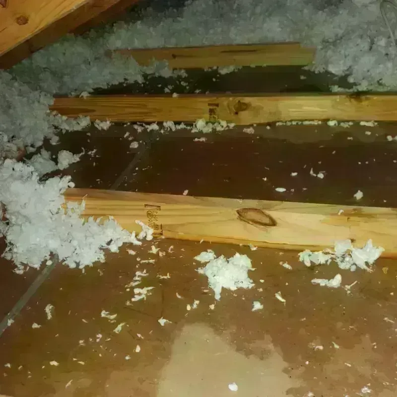 Attic Water Damage in Napoleon, OH